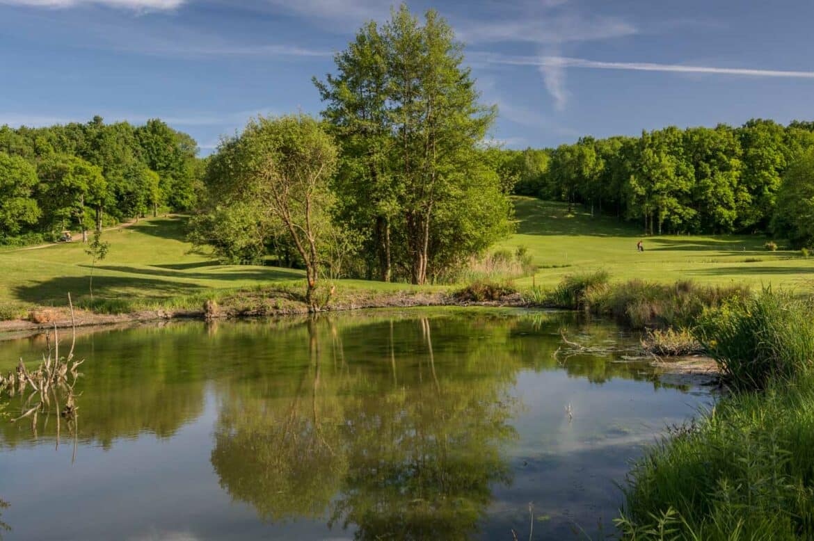 Un golf photovoltaïque près de Saumur prévu pour 2026 : une révolution écologique